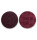 3M Scotch-Brite™ Surface Conditioning Vliesscheibe SC-DH, 115 mm, ungelocht, A-Coarse, A-Med, A-Very Fine, S-Super Fine